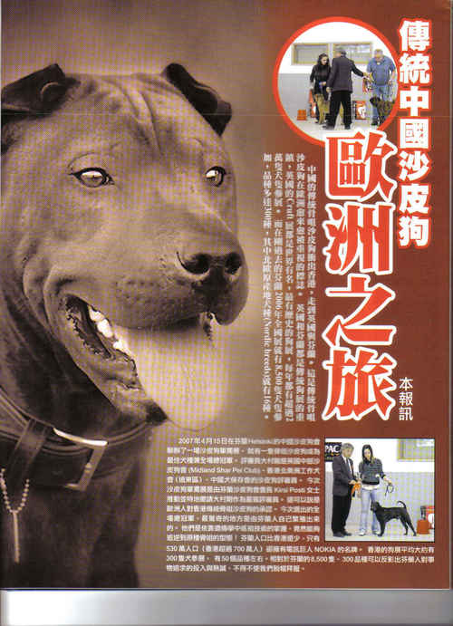 pet_pet_magazine2.jpg